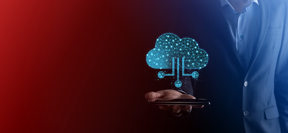 rise with sap cloud erp