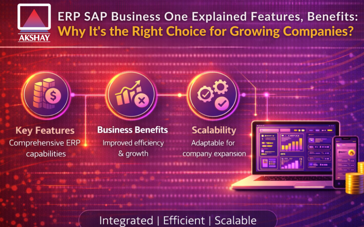 ERP SAP Business One