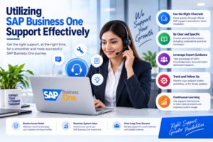 sap business one support